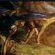 Image for article titled And Now, A Totally Spoiler Free Review Of Avatar
